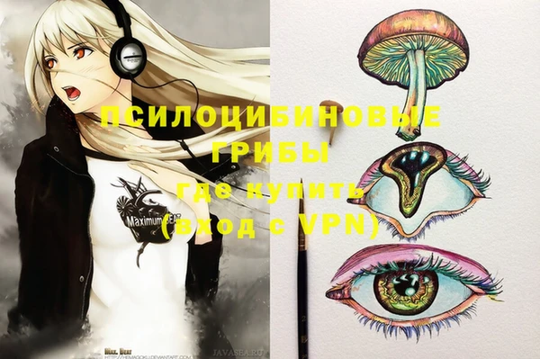 хмурый Новодвинск