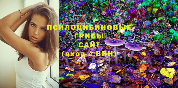 хмурый Новодвинск