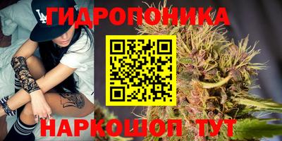 прущие грибы Гатчина