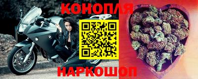 прущие грибы Гатчина