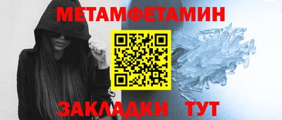 прущие грибы Гатчина