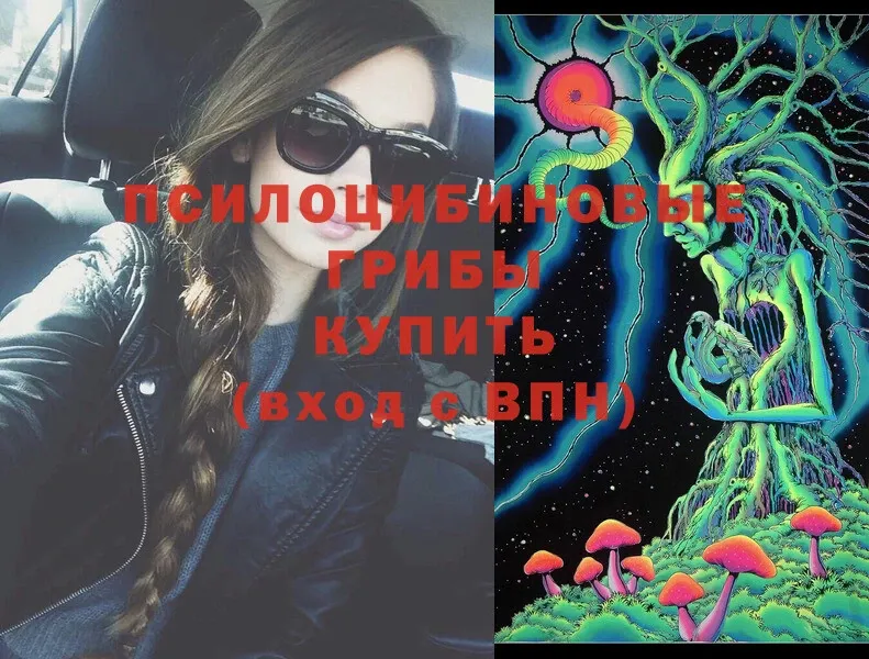 сайты даркнета как зайти  Кулебаки  Псилоцибиновые грибы Magic Shrooms  где купить  