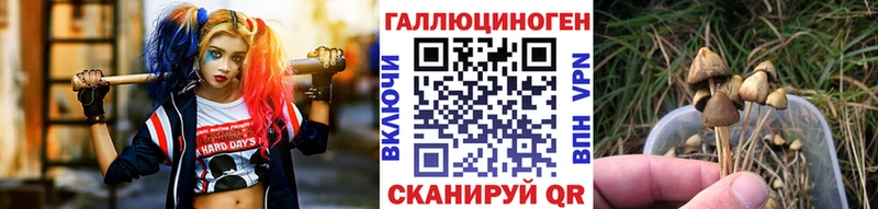 это клад купить закладку Кулебаки Галлюциногенные грибы MAGIC MUSHROOMS