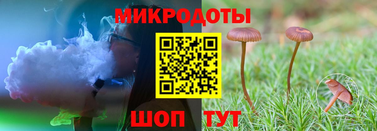 Галлюциногенные грибы Cubensis Кулебаки